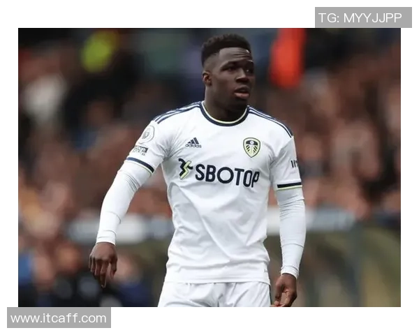 2014年黑人足球球星风采全景回顾与精彩表现分析