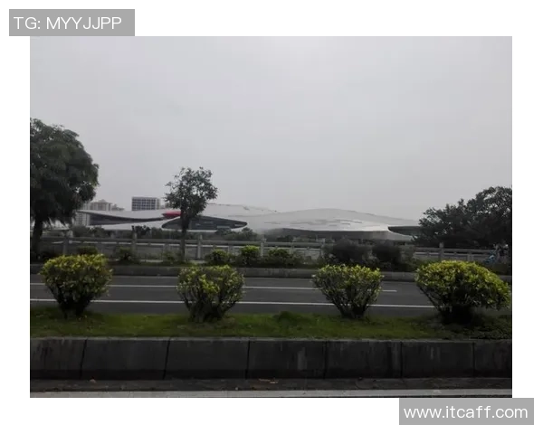 亚运城足球球星:闪耀赛场的青春力量与未来之星 亚运城足球球星:闪耀赛场的青春力量与未来之星